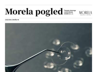 Morela pogled 16